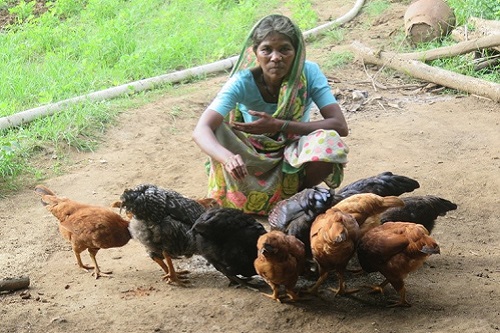 poultry farmer