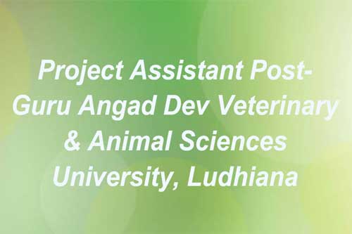 Project Assistant Post- Guru Angad Dev Veterinary & Animal Sciences  University, Ludhiana – epashupalan