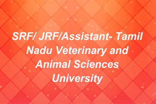 SRF/ JRF/Assistant- Tamil Nadu Veterinary and Animal Sciences University –  epashupalan