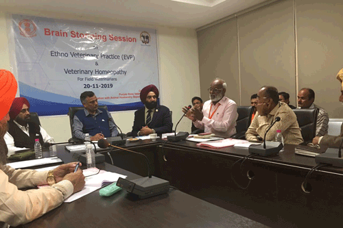 Punjab initiates steps to offer cheaper ethnic treatment to livestock –  epashupalan
