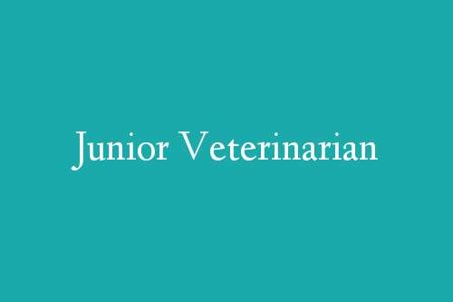 Junior Veterinarian