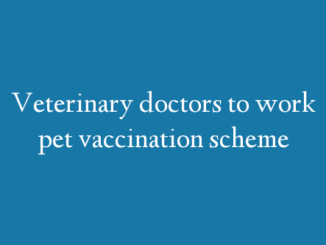 Veterinary doctors to work pet vaccination scheme