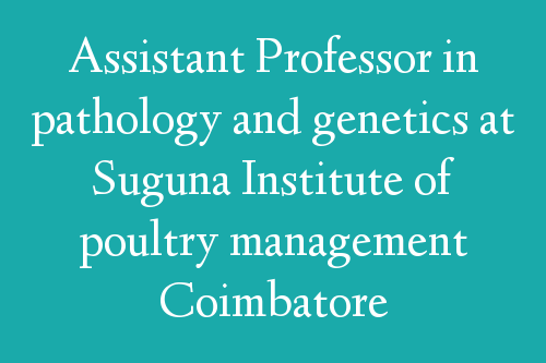 Assistant Professor in pathology and genetics at Suguna Institute of poultry management Coimbatore