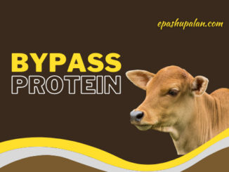 Bypass protein