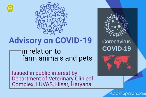 Advisory On COVID-19 in relation to Farm Animals & Pets – epashupalan