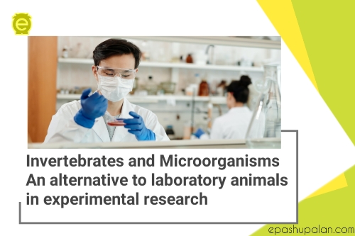 Invertebrates and Microorganisms: An Alternative to Laboratory Animals in  Experimental Research – epashupalan