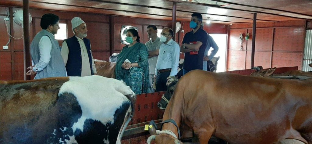 Director AH Kashmir Ms Purnima Mittal (KAS) had a detailed visit of Dairy &  poultry farms of Distt Pulwama – epashupalan