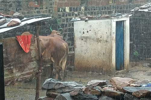 Care and management of livestock in rainy season – epashupalan