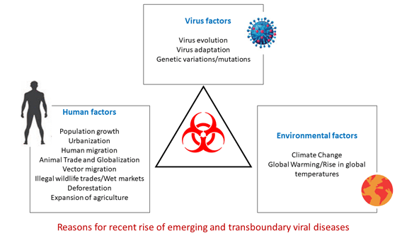 Emerging and transboundary viral infections in livestock of India: need for an effective and comprehensive response strategy