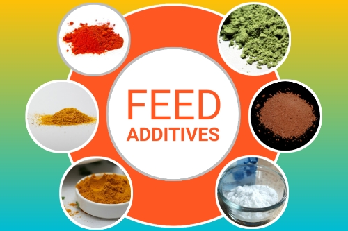 Feed Additives as Essential Inputs for Dairy Industry – epashupalan