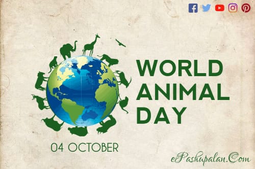 World Animal Day – epashupalan