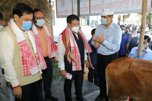 Assam CM launches cattle vaccination programme NADCP – epashupalan