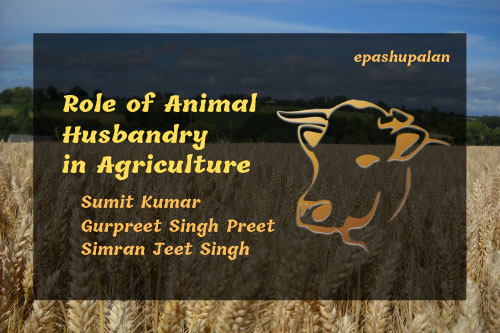 Role of Animal Husbandry in Agriculture – epashupalan
