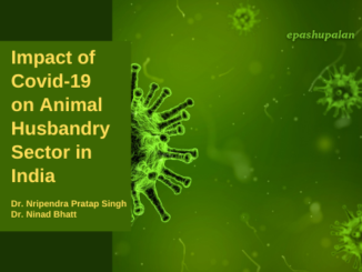 Impact of Covid-19 on Animal Husbandry Sector in India