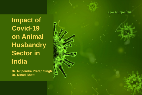 Impact of Covid-19 on Animal Husbandry Sector in India – epashupalan