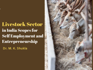 Livestock sector in India