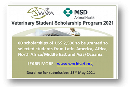 WVA-MSD Animal Health - 5th Veterinary Student Scholarship Program