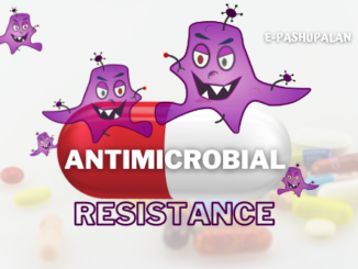 Antimicrobial Resistance A global threat