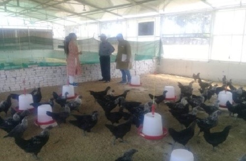 Challenges of working with smallholder livestock farming communities: keeping Large Ruminants, Small Ruminants, Equids, Pigs, Poultry and Pisces in view