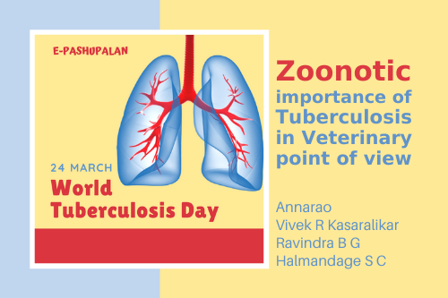 Zoonotic importance of tuberculosis in veterinary point of view