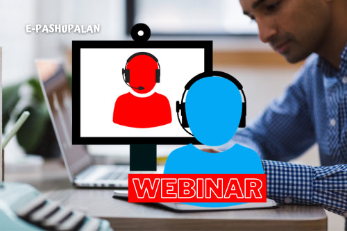 Webinar