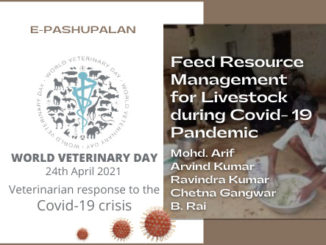 Feed Resource Management for Livestock during Covid-19 Pandemic
