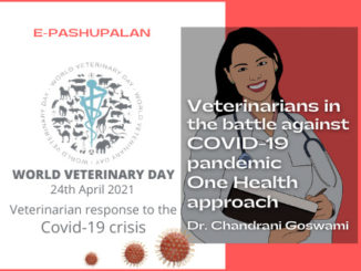 Veterinarians in the battle against COVID-19 pandemic: One Health approach