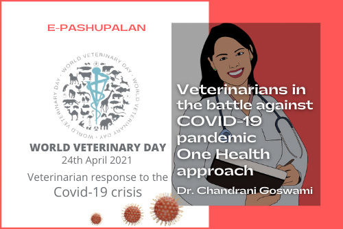 Veterinarians in the battle against COVID-19 pandemic: One Health approach