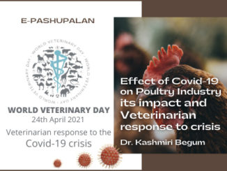 Veterinarian-response-to-the-Covid-19-crisis
