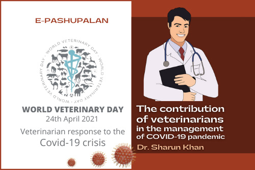 Veterinarian-response-to-the-Covid-19-crisis