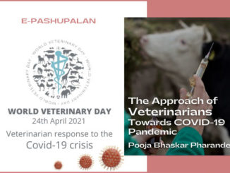 The Approach of Veterinarians Towards COVID-19 Pandemic