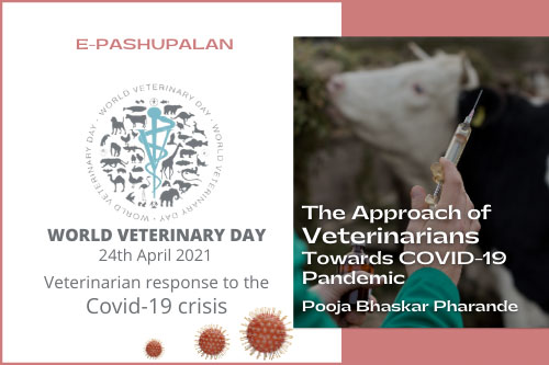 The Approach of Veterinarians Towards COVID-19 Pandemic