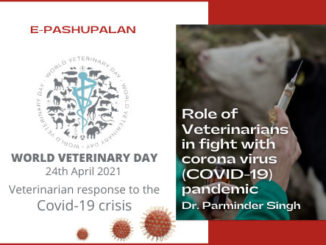Role of veterinarians in fight with corona virus (COVID-19) pandemic