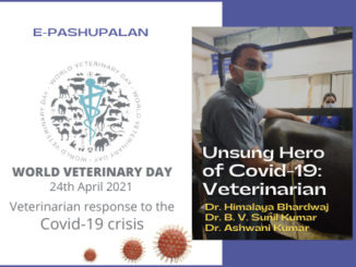 Unsung Hero of Covid-19: Veterinarian
