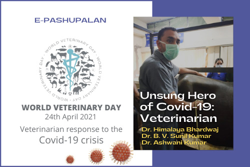 Unsung Hero of Covid-19: Veterinarian