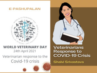 Veterinarians Response to COVID-19 Crisis