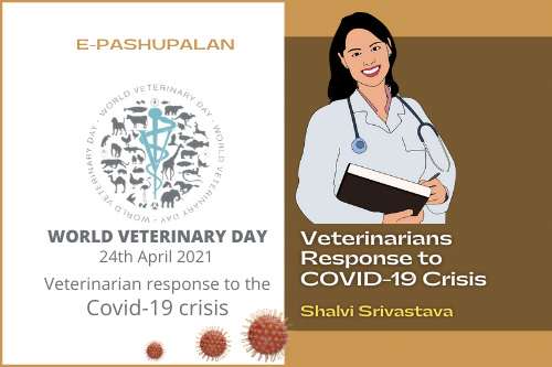 Veterinarians Response to COVID-19 Crisis