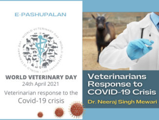 Veterinarian response to the COVID-19 crisis