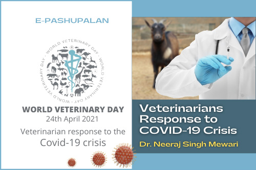 Veterinarian response to the COVID-19 crisis