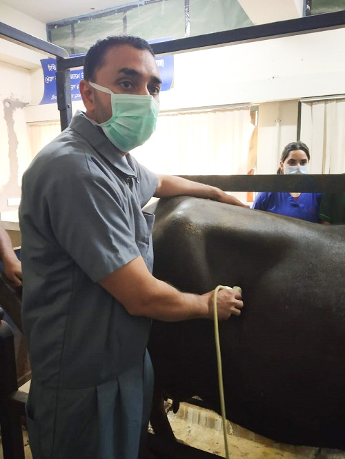 Unsung Hero of COVID-19: Veterinarian