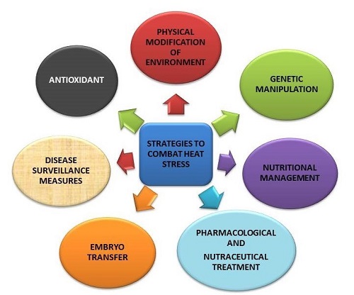 Amelioration strategies to combat heat stress in Livestock – epashupalan