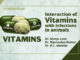 Interaction of vitamins with infections in animals