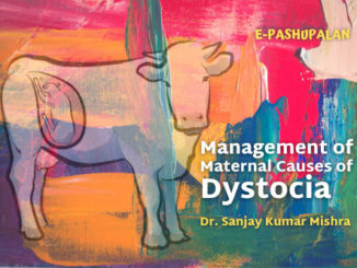 Management of Maternal Causes of Dystocia