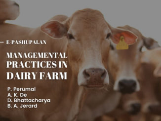 Managemental Practices in Dairy Farm