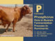 Phosphorus: Role in Rumen Fermentation Process in Ruminants