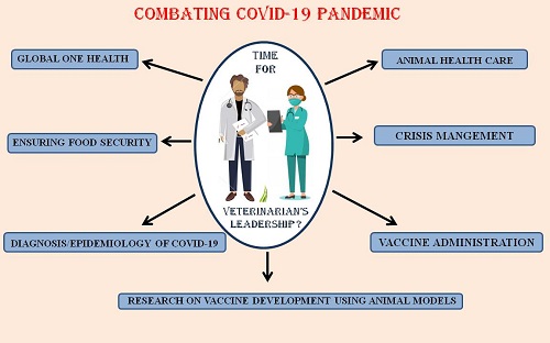 Role of Veterinarian in COVID 19