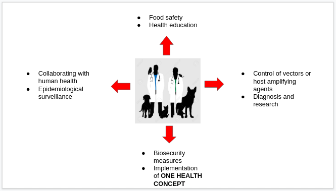 Role of Veterinarian to combat the emergence of zoonotic diseases