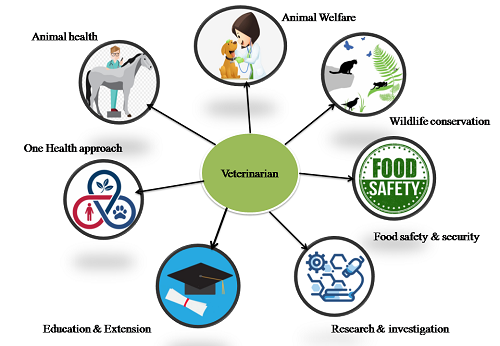 Fig: The multifaceted roles of Veterinarians