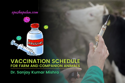 Vaccination Schedule for Farm and Companion Animals