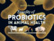 Benefits of Probiotics in Animal Health